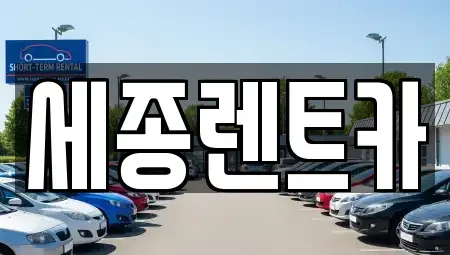 충청남도 금산군 렌트카 전문 세종렌트카
