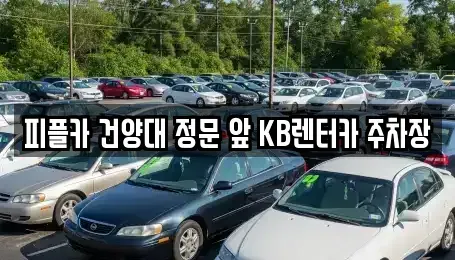충청남도 논산시 은진면 렌트카 전문 피플카 건양대 정문 앞 KB렌터카 주차장