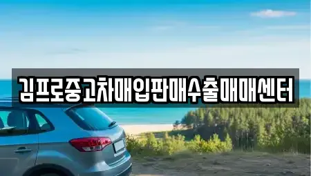 충청남도 논산시 은진면 중고차매입 전문 김프로중고차매입판매수출매매센터