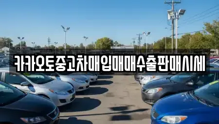 충청남도 당진시 고대면 중고차 전문 카카오토중고차매입매매수출판매시세