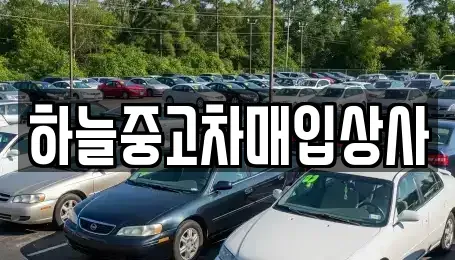 충청남도 당진시 고대면 중고차매입 전문 하늘중고차매입상사