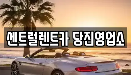 충청남도 당진시 행정동 장기렌트카 전문 센트럴렌트카 당진영업소