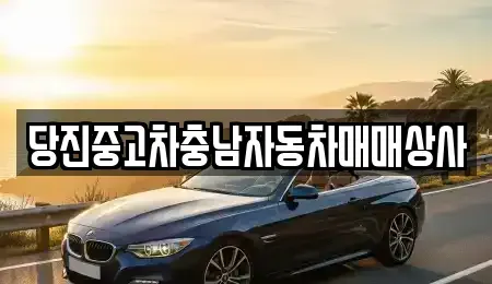 충청남도 당진시 행정동 중고차매매 전문 당진중고차충남자동차매매상사
