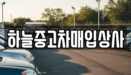 충청남도 당진시 행정동 중고차매입 전문 하늘중고차매입상사