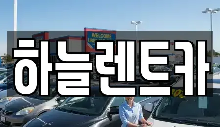 충청남도 보령시 남포면 렌트카 전문 하늘렌트카