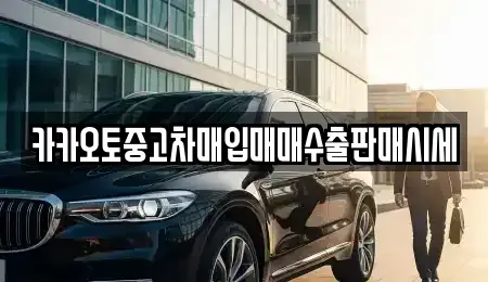충청남도 보령시 남포면 중고차매입 전문 카카오토중고차매입매매수출판매시세