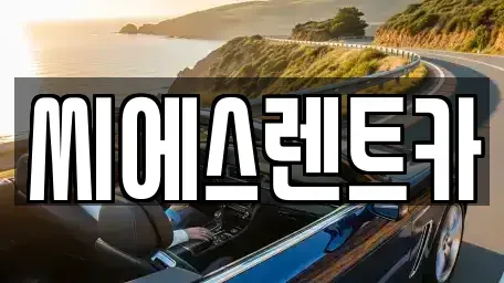 충청남도 천안시 동남구 다가동 렌트카 전문 씨에스렌트카