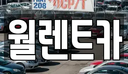 충청남도 천안시 동남구 목천읍 렌트카 전문 월렌트카