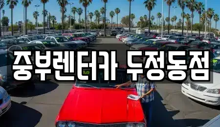 충청남도 천안시 동남구 목천읍 렌트카 전문 중부렌터카 두정동점