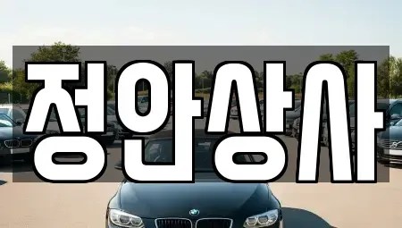 충청남도 천안시 동남구 목천읍 중고차 전문 정안상사