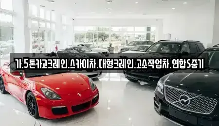 충청남도 천안시 동남구 목천읍 중고차매입 전문 가.5톤카고크레인.스카이차.대형크레인.고소작업차.연합S중기