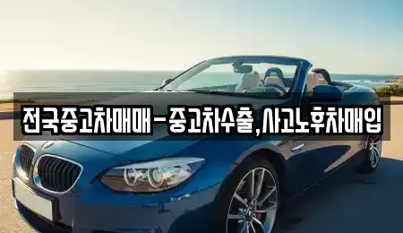 충청남도 천안시 동남구 문화동 중고차 전문 전국중고차매매-중고차수출,사고노후차매입