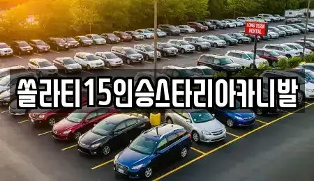 충청북도 제천시 덕산면 렌트카 전문 쏠라티15인승스타리아카니발