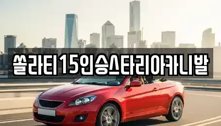 충청북도 제천시 동현동 렌트카 전문 쏠라티15인승스타리아카니발