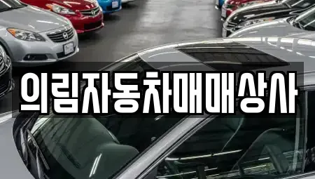 충청북도 제천시 동현동 중고차매매 전문 의림자동차매매상사