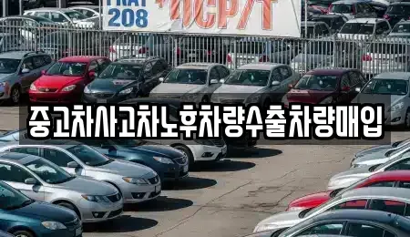 충청북도 제천시 동현동 중고차매매 전문 중고차사고차노후차량수출차량매입