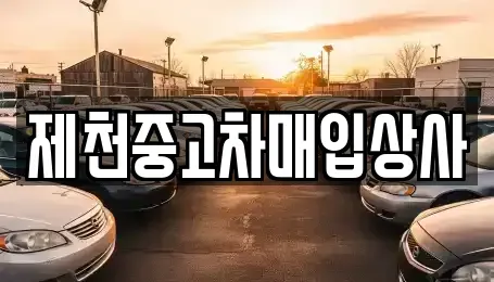 충청북도 제천시 동현동 중고차매입 전문 제천중고차매입상사