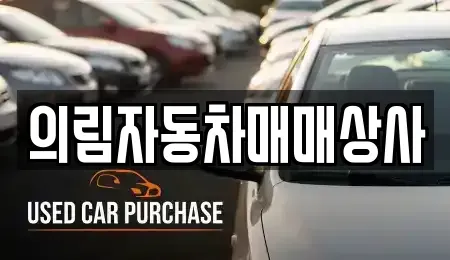 충청북도 제천시 중앙로1가 중고차 전문 의림자동차매매상사
