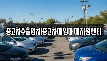 충청북도 제천시 중앙로1가 중고차매입 전문 중고차수출업체중고차매입매매지원센터