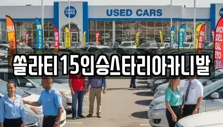 충청북도 제천시 천남동 렌트카 전문 쏠라티15인승스타리아카니발