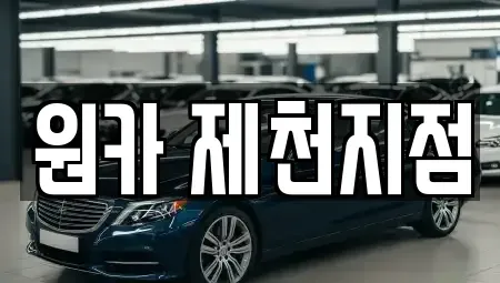 충청북도 제천시 천남동 렌트카 전문 원카 제천지점