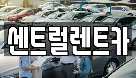 충청북도 청주시 상당구 서운동 렌트카 전문 센트럴렌트카