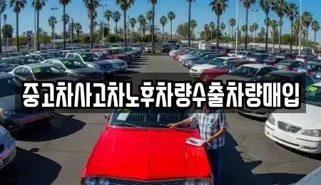 충청북도 청주시 서원구 사직동 중고차매입 전문 중고차사고차노후차량수출차량매입