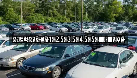 충청북도 청주시 서원구 장암동 중고차매입 전문 중고트럭중고화물차1톤2.5톤3.5톤4.5톤5톤매매매입수출