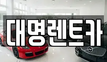 충청북도 청주시 서원구 현도면 렌트카 전문 대명렌트카