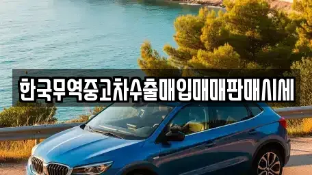 충청북도 청주시 서원구 현도면 중고차 전문 한국무역중고차수출매입매매판매시세