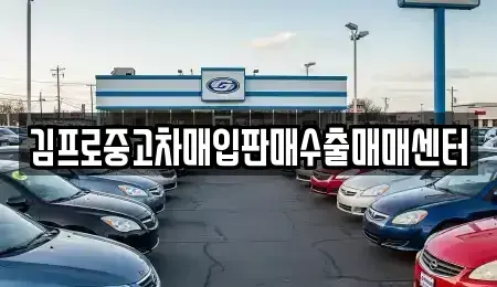 충청북도 청주시 서원구 현도면 중고차매입 전문 김프로중고차매입판매수출매매센터