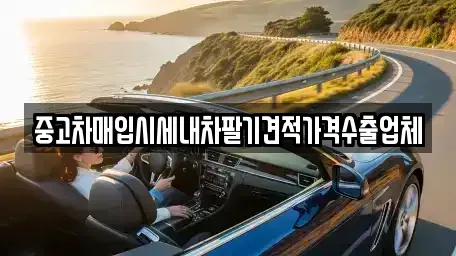충청북도 청주시 서원구 현도면 중고차매입 전문 중고차매입시세내차팔기견적가격수출업체