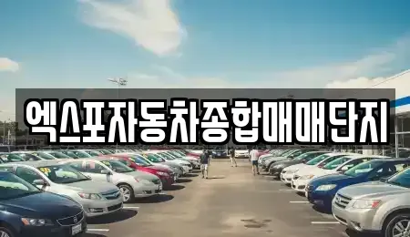 충청북도 청주시 청원구 정상동 중고차매매 전문 엑스포자동차종합매매단지