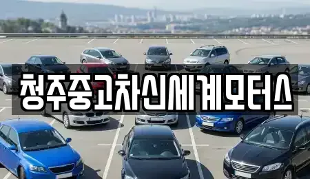 충청북도 청주시 청원구 정상동 중고차매매 전문 청주중고차신세계모터스
