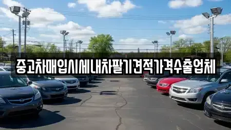 충청북도 청주시 청원구 정상동 중고차매입 전문 중고차매입시세내차팔기견적가격수출업체