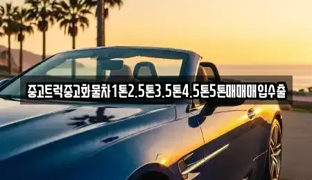 충청북도 충주시 풍동 중고차매입 전문 중고트럭중고화물차1톤2.5톤3.5톤4.5톤5톤매매매입수출