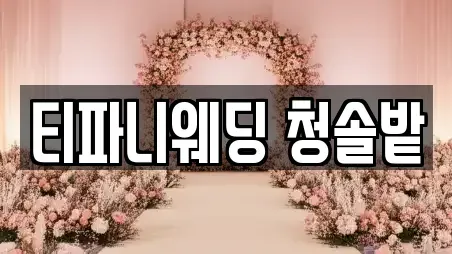 티파니웨딩 청솔밭